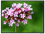 IMG_3618_neo_filtered2