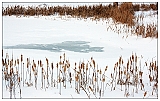 IMG_4180_tp_neo