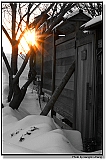 IMG_4185_crop_tp2