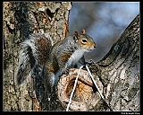 IMG_4447_neo