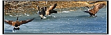 IMG_5560_neo2