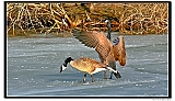 IMG_5566_tp2