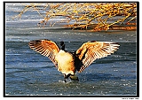 IMG_5635_neo3