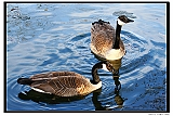 IMG_5647_neo_tp2