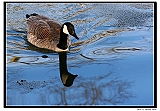 IMG_5676_crop_tp2