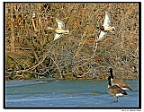 IMG_5720_tp2