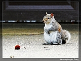 IMG_5976_neo_ps_neo3