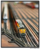 IMG_6141_neo2