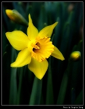 IMG_6325_neo_filtered_ps2