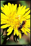 IMG_7023_neo3_filtered