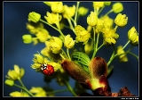IMG_7222_ps_neo2