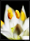 IMG_7344_neo2