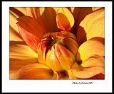 IMG_8168_pis_neo2