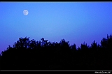 IMG_8254_neo_ps_neo_filtered2