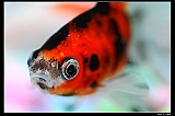 IMG_8573_neo2