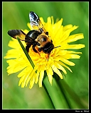 IMG_8768_neo2_filtered