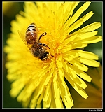 IMG_8798_neo2