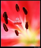 IMG_8877_neo2