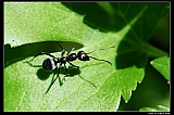 IMG_9492_neo_filtered2