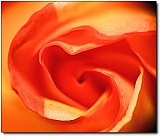 IMG_9706_neo_psp2