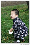 IMG_2390_neo2