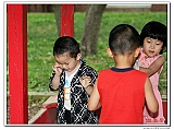 IMG_2403_neo2