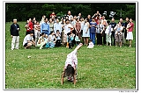 IMG_2416_neo2