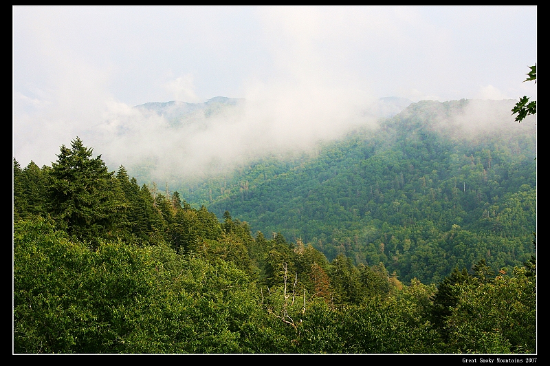 IMG_5963_neo2.JPG