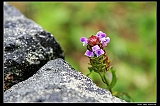 IMG_5708_neo2