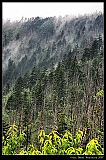 IMG_5771_neo_psp2