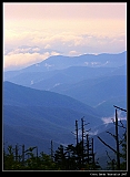 IMG_5774_neo2