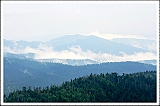 IMG_5836_neo_tp2
