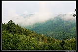 IMG_5963_neo2
