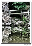 IMG_7854_psp_neo2