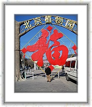 IMG_1523_neo * 2003 x 2457 * (1.62MB)