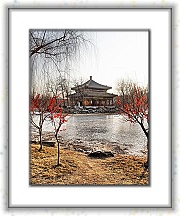 IMG_1527_dri_psp_tp_neo_filtered_neo2 * 2691 x 3459 * (5.8MB)