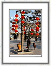 IMG_1531_neo2 * 2250 x 3230 * (3.75MB)