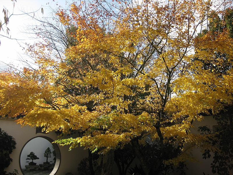 IMG_1906.JPG