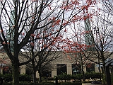 IMG_1850