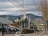 IMG_1858