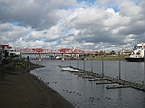 IMG_1876