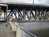 IMG_1884