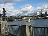 IMG_1897
