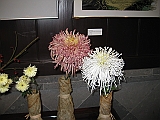 IMG_1904
