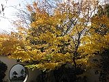 IMG_1906