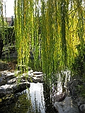 IMG_1915