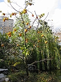 IMG_1925