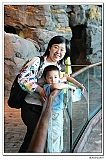 IMG_8231_neo2