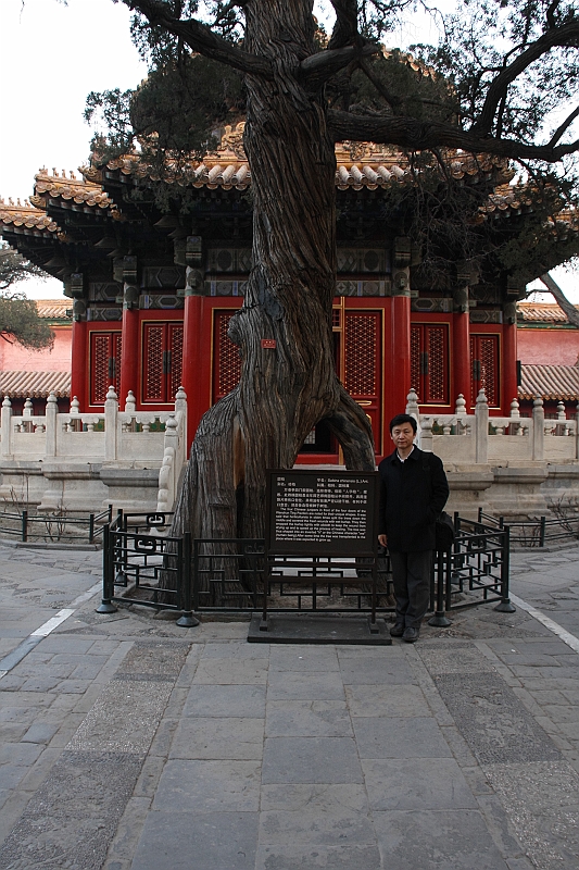 IMG_9735.JPG