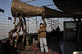 IMG_9574